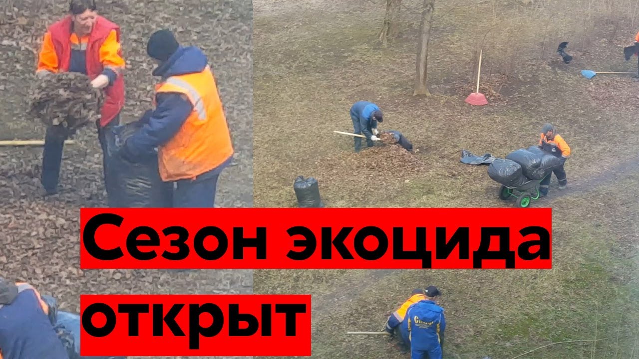 Уборка опавшей листвы весной - это экоцид и экофашизм