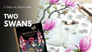 🦢A Date on Swan Lake | Ep.2 How to Color Swans | Colored Pencils | Botanicum｜Color Along