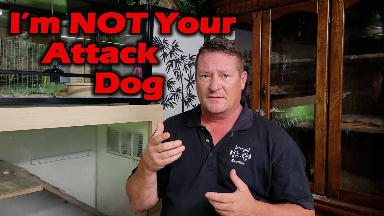 this-desperately-needs-to-be-said-youtube
