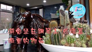1030627鋼琴如何保養