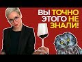 ТОП-11 вопросов сомелье! Крутые ФАКТЫ, интересные СОВЕТЫ, ЛАЙФХАКИ с вином!