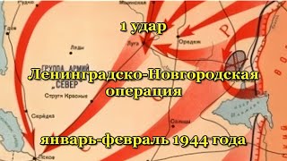 Первый Удар. Ленинградско - Новгородская Операция