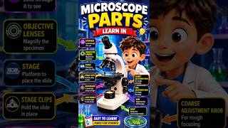 Microscope Parts Explained for Kids | Learn the Parts of a Microscope