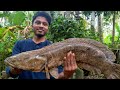 തൂളിയും വാഹയും പിടിച്ചു  പക്ഷെ 👉👉👉👉. kerala traditional fishing. lure fishing