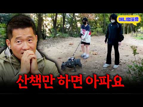 Owner Always in Pain Because Their Dog Goes Crazy on Walks... What's Going Wrong? | KBS Dogs are ...