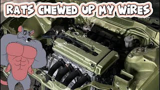 Project Crx Part 1: Swapping the Cabin harness