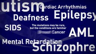 The Answer is in the Sequence