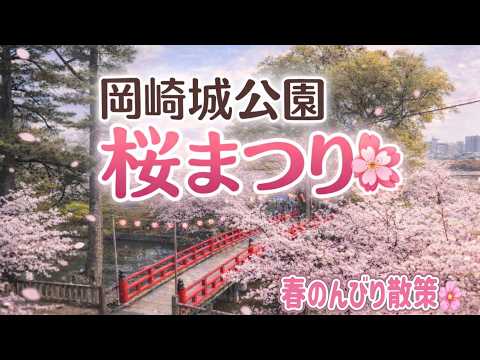 岡崎城公園 桜まつり🌸 春のんびり散策 【ゆかりん&きんちゃん】2026.4.3