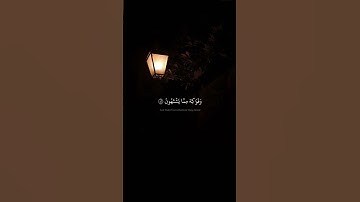 إِنَّ ٱلۡمُتَّقِينَ فِي ظِلَٰلٖ وَعُيُونٖ | محمد صديق المنشاوي | سورة المرسلات