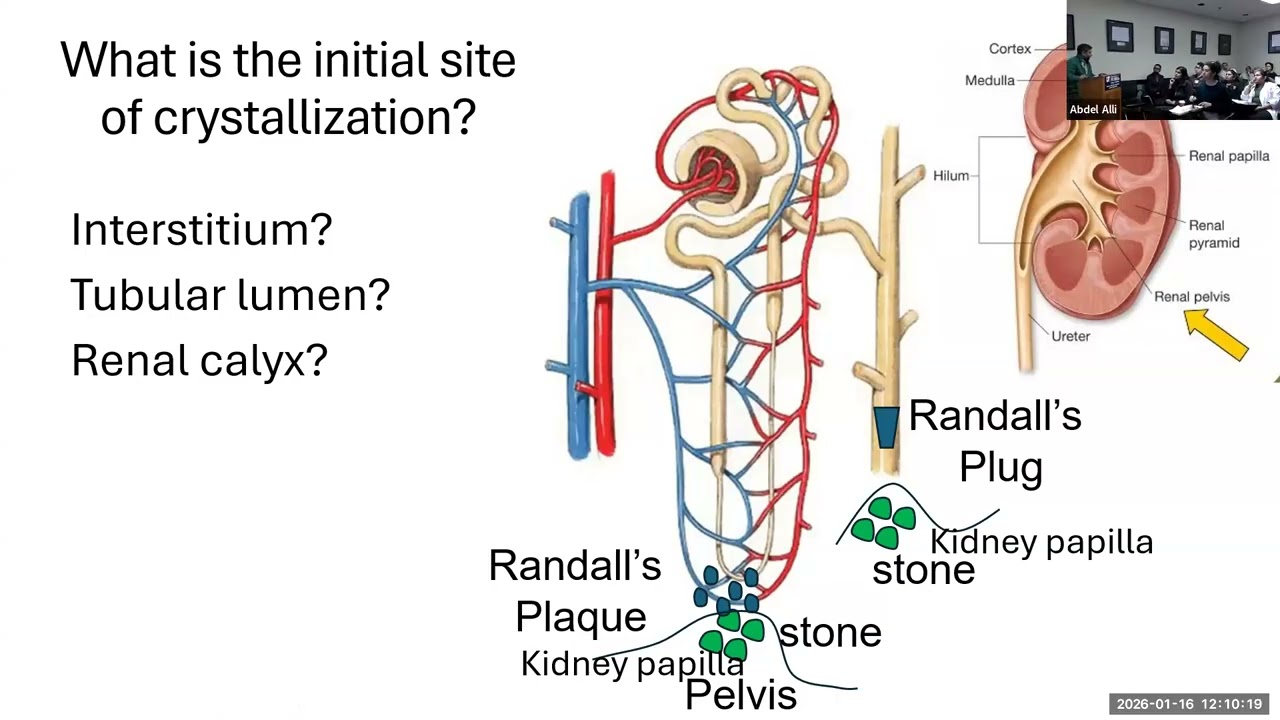 "Renal Grand Rounds Lecture- Abdel Alli, MD 1-16-26"