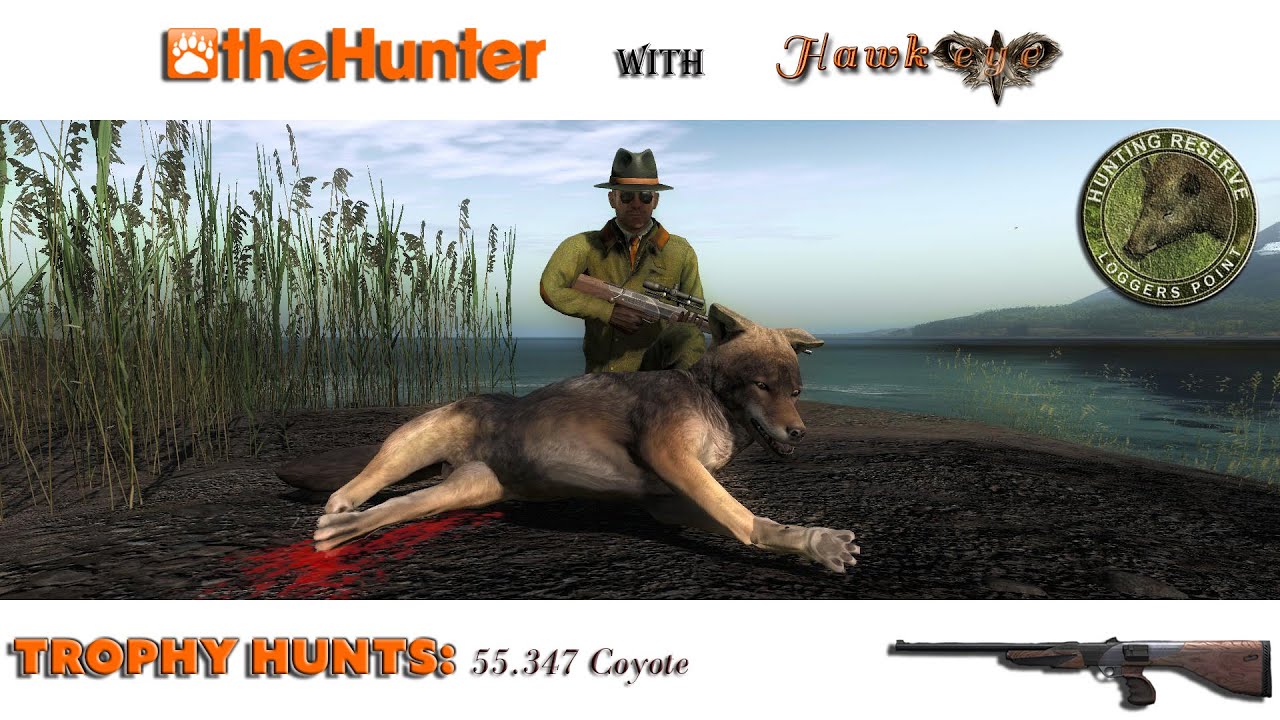 55 B&C Coyote - Logger's Point