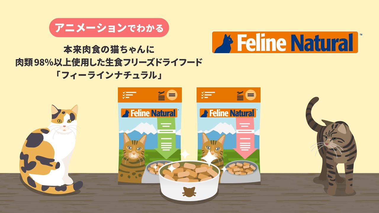 B-Line Natural Premium Food (Complete Nutritional Diet for Cats