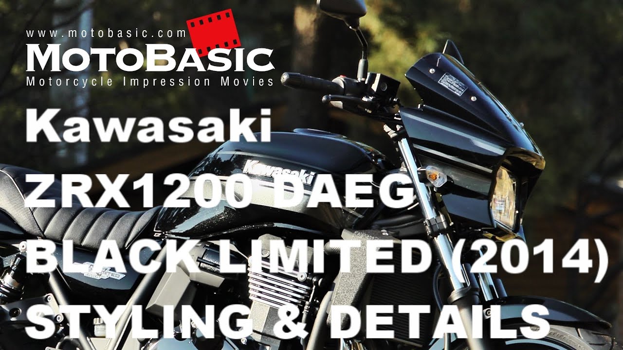 ZRX1200 DAEG BLACK LIMITED (カワサキ/2014) スタイリング 