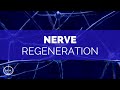 Nerve regeneration  repair nerve connections  activate growth  binaural beats  meditation music