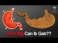 How Much Food Can the Human Stomach Hold???