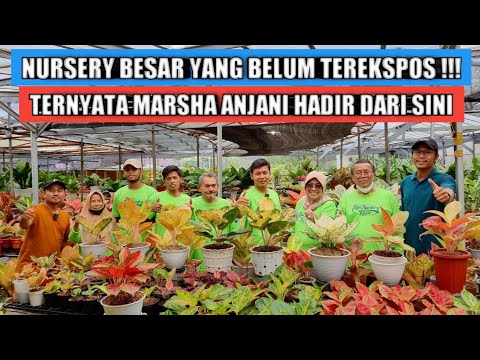 Video: Cara Membuat 100 Ribu