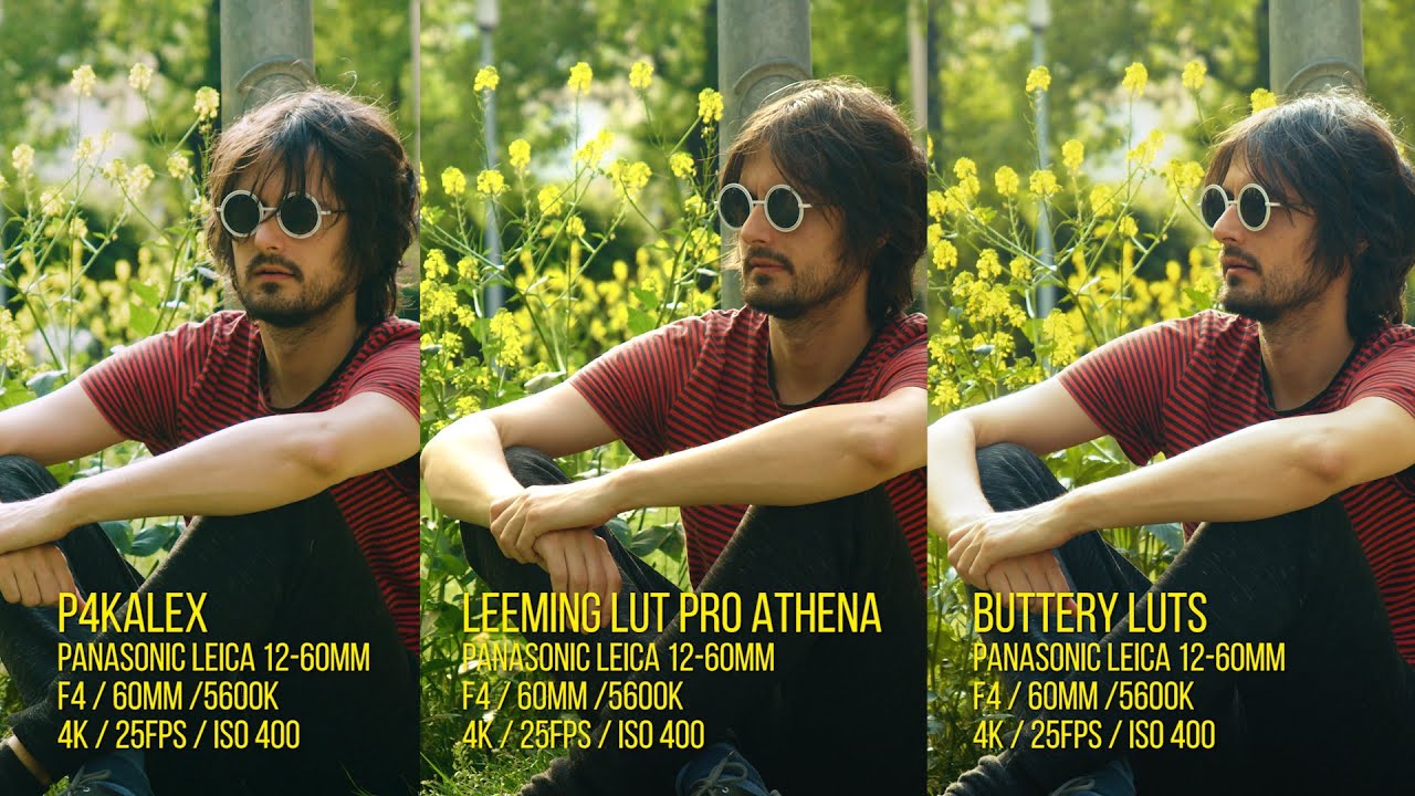 LUT comparison P4KALEX VS LEEMING LUT PRO ATHENA VS BUTTERY LUTS ...