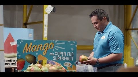 The Innovation of Mango Packaging [Full Video]