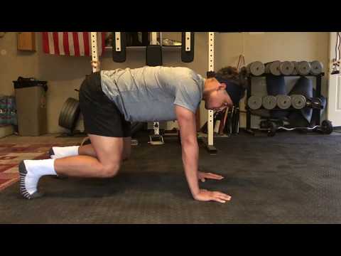 Bear Crawl Progression - DJ Lee Hitting