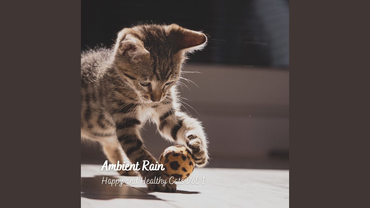 Pitter Patter in the Garden YouTube