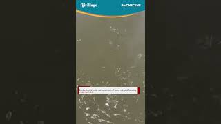 #fvONSCENE | Residents of Ellington Settlement share a video of contaminated water