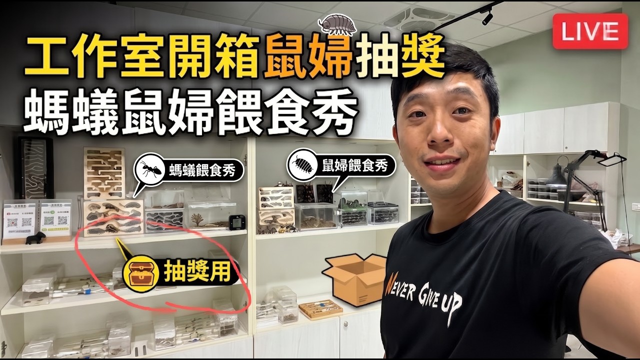【260831 】Live工作室開箱抽獎|螞蟻鼠婦餵食秀|臺灣蟻窟 縮圖