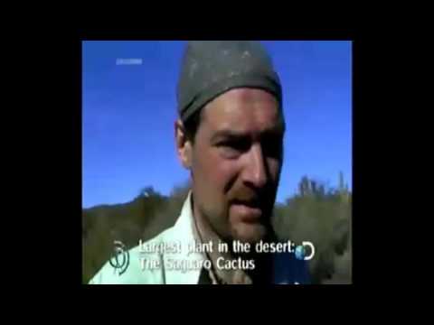 Video: Les Stroud Neto vrednost: Wiki, poročen, družina, poroka, plača, bratje in sestre