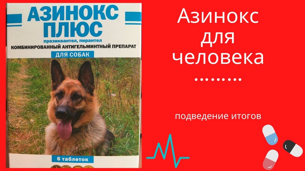 Азинокс для человека, подведение итогов