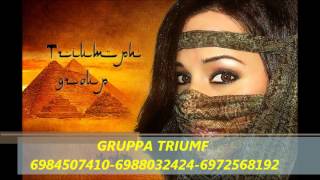 Gruppa Triumf Mehriban Aleik 2013