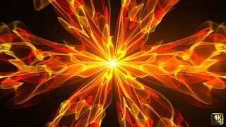 Fire Flower Energy | Motion Graphics - Videohive template