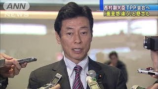 西村副大臣がTPP出席へ　舌がんの甘利大臣の代理で(13/12/06)