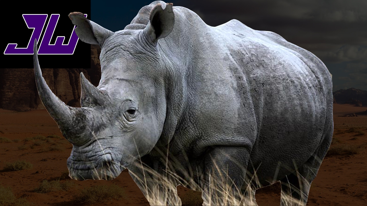 Hunting HUGE Rhinos! EXOTIC MEAT! Conan Exiles Episode 7 YouTube