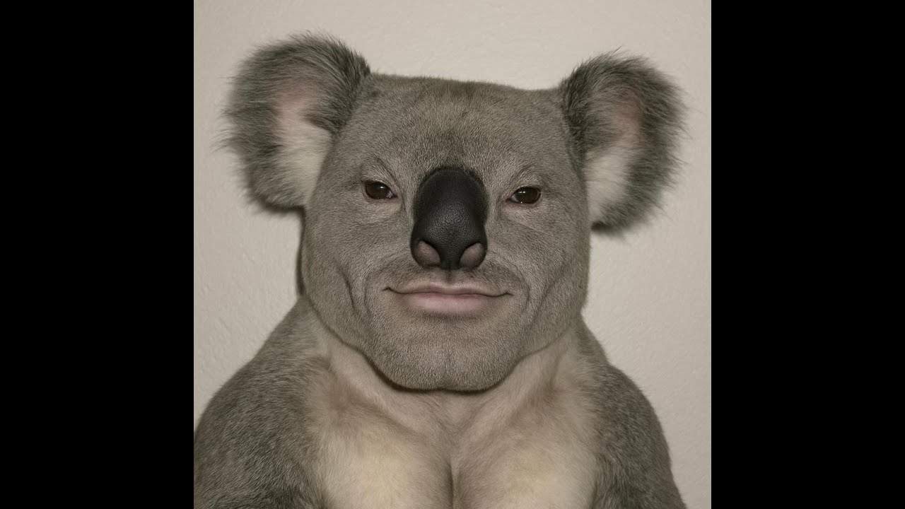 Craftluna S4  Killmontage (Kayıp Snowranw İçin)