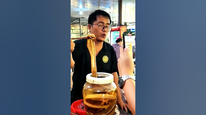 พญางูจงอาง