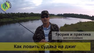 Техника ловли судака спиннингом на джиг с берега – видео разбор для начинающих