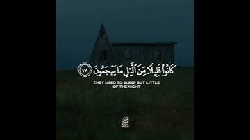 قران كريم بصوت مشاري فالح 🌿🧡 حالات واتس اب دينية مقاطع استقرام