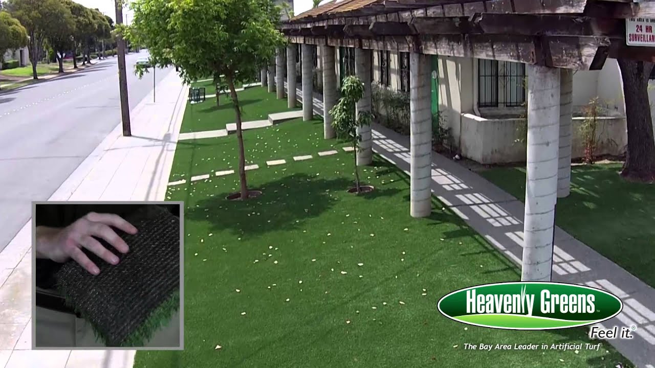 Heavenly Greens Lush Nutmeg product YouTube