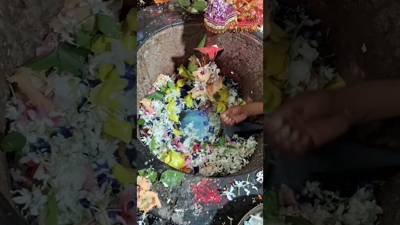  Vedsarshivstava Ommnamhshivaya