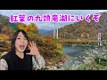 紅葉の九頭竜湖にいくぞ Japan Fukui Live.