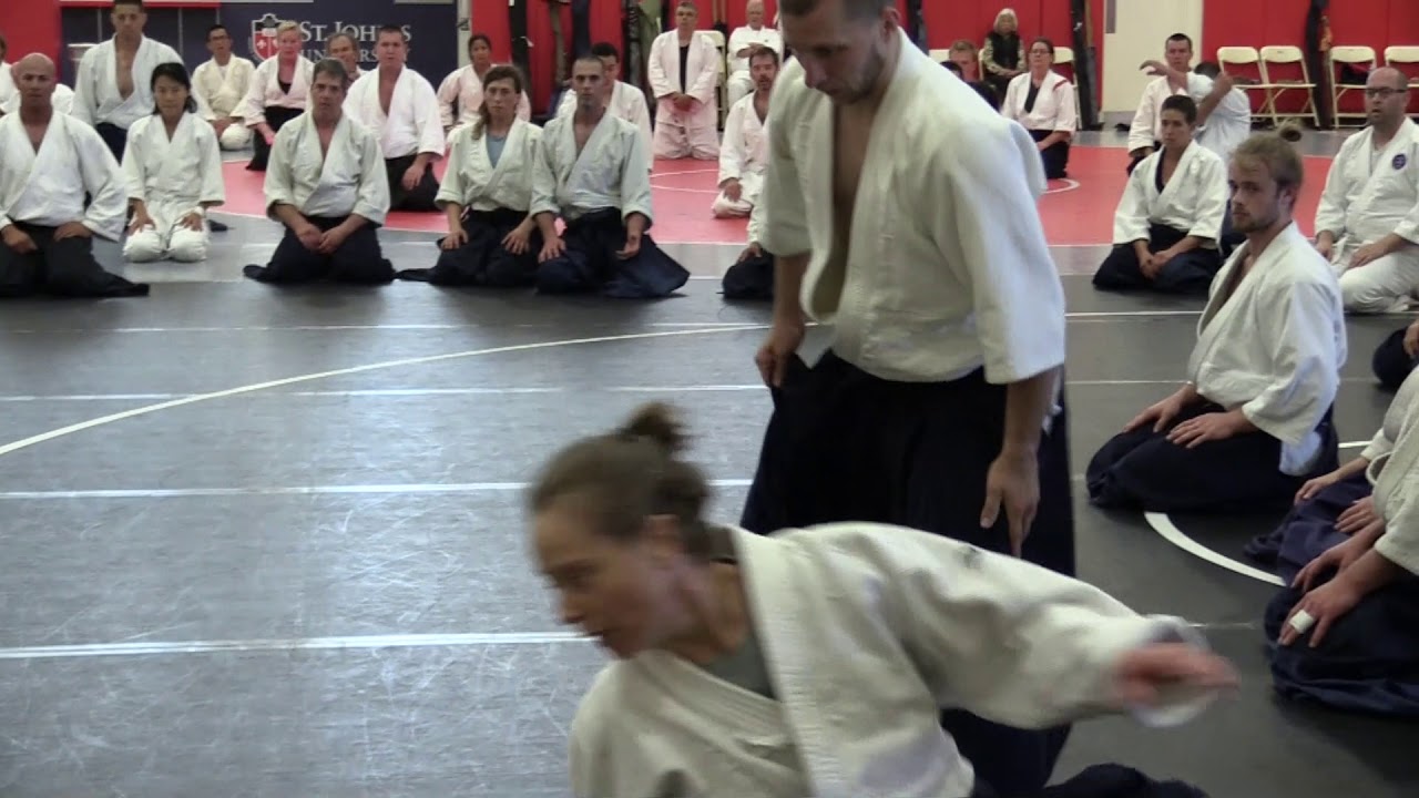 Birankai Aikido Summer Camp 2016 - K. Heins