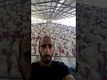 קוף תרנגולות אחרי בן אדם קוף תרנגולות אחרי בן אדם