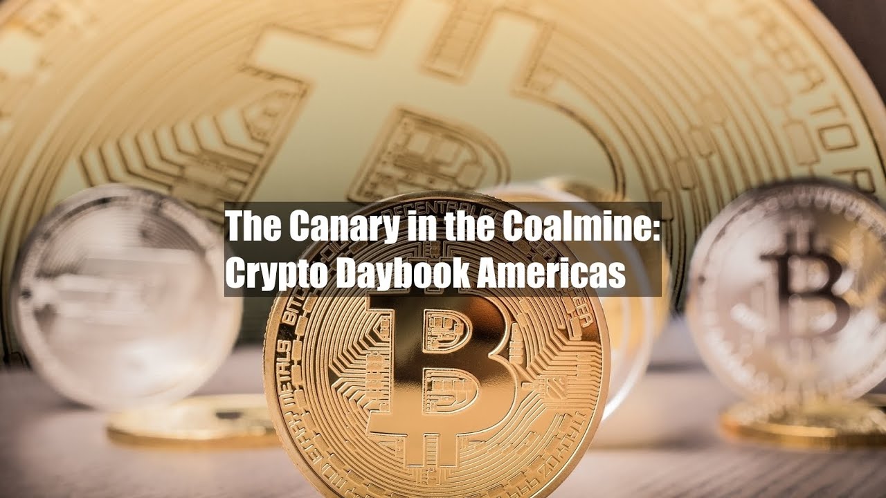The Canary in the Coalmine: Crypto Daybook Americas - YouTube