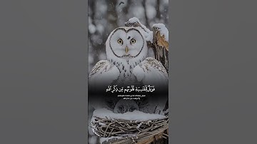 #تلاوة_خاشعة  آيات من كتاب الله  ارح قلبك وسمعك #اكسبلور #القرآن_الكريم #راحة_نفسية #دويتو #لايك