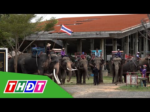 Làng du lịch Thái Lan chịu ảnh hưởng vì xung đột biên giới | THDT mới 2023 Làng du lịch Thái Lan chịu ảnh hưởng vì xung đột biên giới | THDT mới 2023