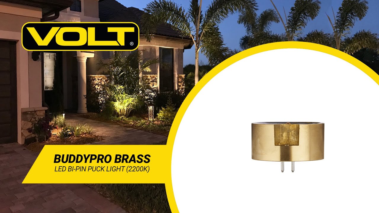 VAT69 電飾 BuddyPro™ Brass LED Bi-Pin Puck Light (2200K - Candle Light