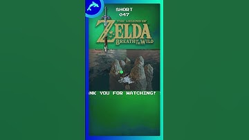 SHORT 047 | I almost failed this Korok puzzle