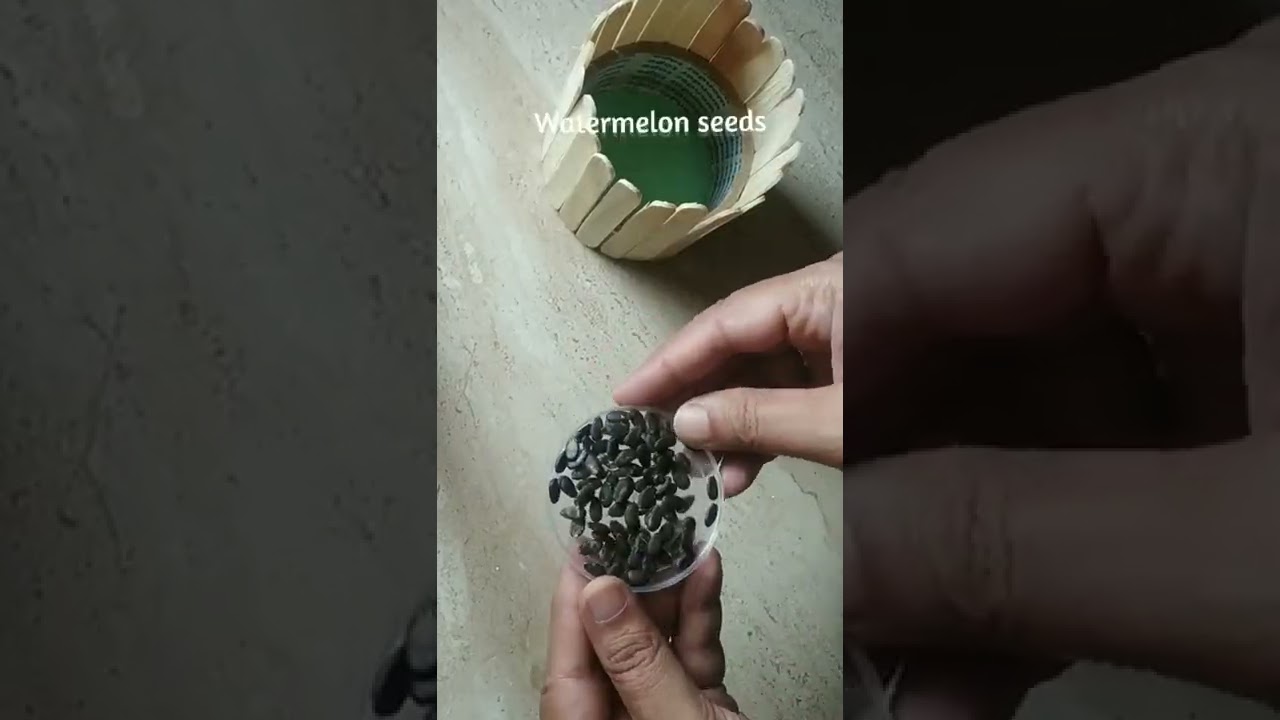 Candle holder with popsicles