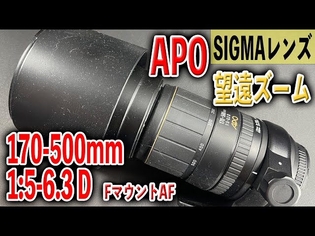 【SIGMAの高倍率超望遠レンズ】170-500mm 1:5-6.3 D APO ...