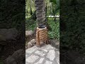 ЧАСТЬ1ТеперьЯбогат!Ты мне больше не нужна!Собирай чемоданыИ выметайся#историяизфорума#историяизжизни