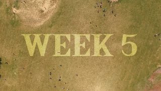 Camp Chevra 2016 Week 5